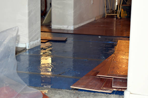 Professional Water Damage Restoration technician working in Lore City, OH